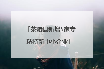 茶陵县新增5家专精特新中小企业