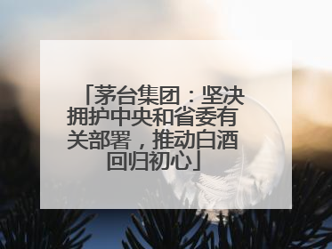 茅台集团：坚决拥护中央和省委有关部署，推动白酒回归初心
