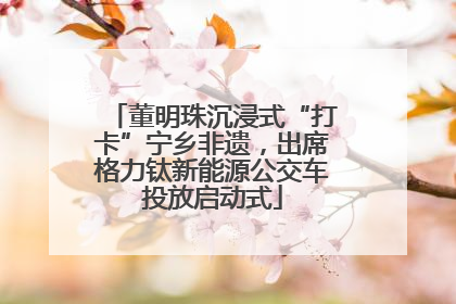 董明珠沉浸式“打卡”宁乡非遗，出席格力钛新能源公交车投放启动式