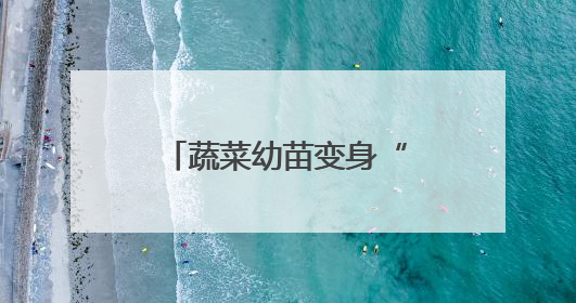 蔬菜幼苗变身“绿色教科书”！哈市各区中小学生展示种植成果
