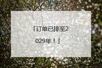 订单已排至2029年！