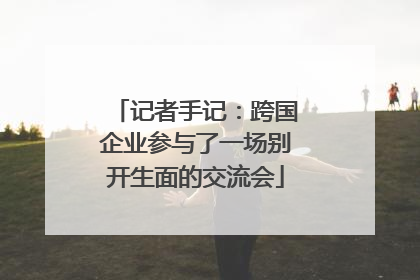 记者手记：跨国企业参与了一场别开生面的交流会