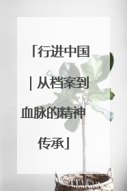 行进中国｜从档案到血脉的精神传承