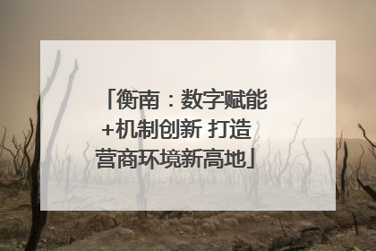 衡南：数字赋能+机制创新 打造营商环境新高地