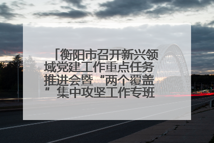 衡阳市召开新兴领域党建工作重点任务推进会暨“两个覆盖”集中攻坚工作专班 第一次会议