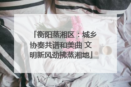 衡阳蒸湘区：城乡协奏共谱和美曲 文明新风劲拂蒸湘地