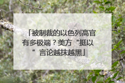 被制裁的以色列高官有多极端？美方“挺以”言论越抹越黑