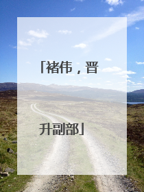 褚伟，晋升副部