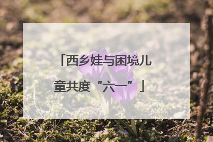 西乡娃与困境儿童共度“六一”