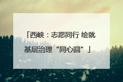 西峡：志愿同行 绘就基层治理“同心圆”