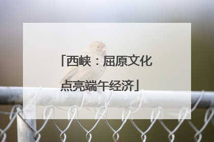 西峡：屈原文化点亮端午经济