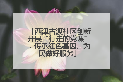 西津古渡社区创新开展“行走的党课”：传承红色基因、为民做好服务