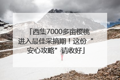 西集7000多亩樱桃进入最佳采摘期！这份“安心攻略”请收好