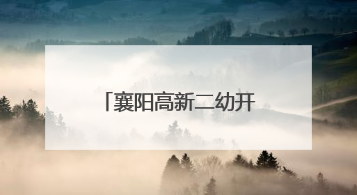 襄阳高新二幼开展“走进小学 遇见成长”活动