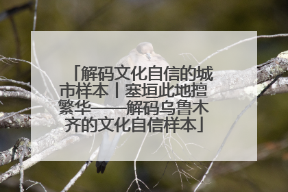 解码文化自信的城市样本丨塞垣此地擅繁华——解码乌鲁木齐的文化自信样本