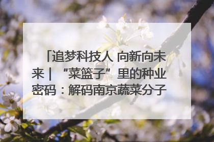 追梦科技人 向新向未来｜“菜篮子”里的种业密码：解码南京蔬菜分子育种的创新之路