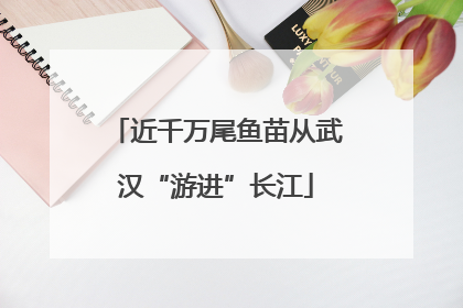 近千万尾鱼苗从武汉“游进”长江