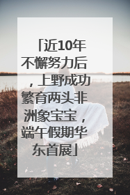 近10年不懈努力后，上野成功繁育两头非洲象宝宝，端午假期华东首展