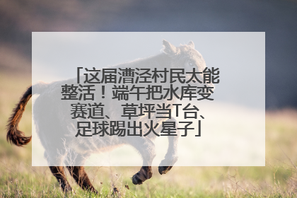 这届漕泾村民太能整活！端午把水库变赛道、草坪当T台、足球踢出火星子