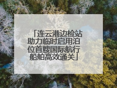 连云港边检站助力临时启用泊位首艘国际航行船舶高效通关