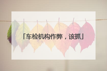 车检机构作弊，该抓