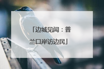 边城见闻：普兰口岸访边民