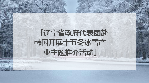 辽宁省政府代表团赴韩国开展十五冬冰雪产业主题推介活动