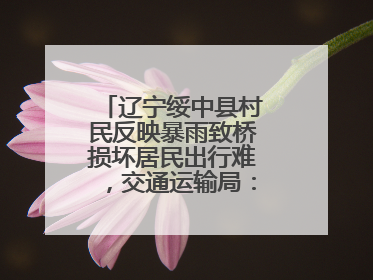 辽宁绥中县村民反映暴雨致桥损坏居民出行难，交通运输局：保证处理好