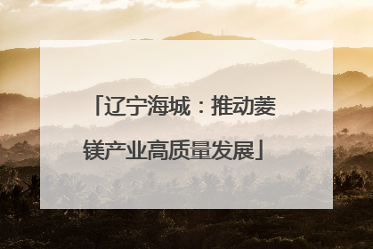 辽宁海城：推动菱镁产业高质量发展