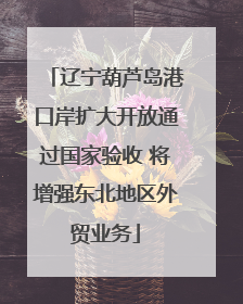 辽宁葫芦岛港口岸扩大开放通过国家验收 将增强东北地区外贸业务