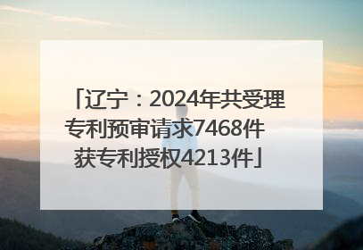 辽宁：2024年共受理专利预审请求7468件 获专利授权4213件