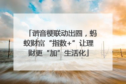 谐音梗联动出圈，蚂蚁财富“指数+”让理财更“加”生活化