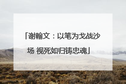 谢翰文：以笔为戈战沙场 视死如归铸忠魂