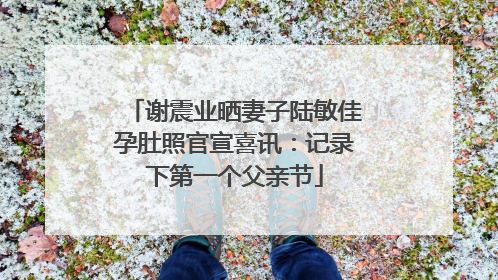 谢震业晒妻子陆敏佳孕肚照官宣喜讯：记录下第一个父亲节