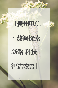 贵州电信：数智探索新路 科技智造农景
