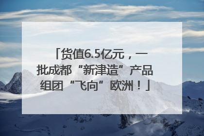 货值6.5亿元，一批成都“新津造”产品组团“飞向”欧洲！