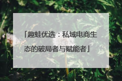 趣蛙优选：私域电商生态的破局者与赋能者