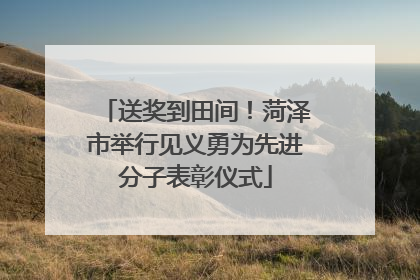 送奖到田间！菏泽市举行见义勇为先进分子表彰仪式