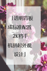 透明背板成标准配置 2K档手机拼起外观设计