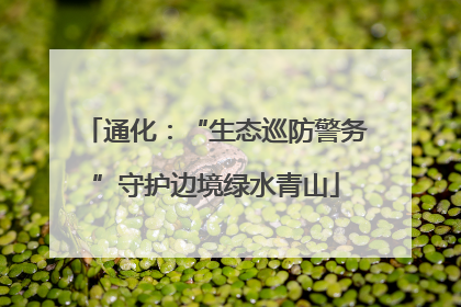 通化：“生态巡防警务”守护边境绿水青山