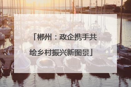 郴州：政企携手共绘乡村振兴新图景
