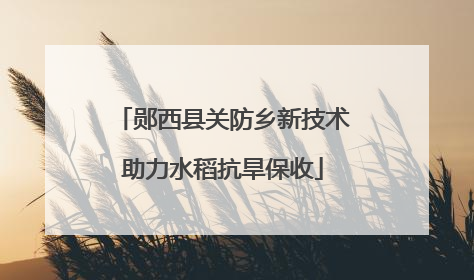 郧西县关防乡新技术助力水稻抗旱保收
