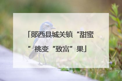 郧西县城关镇“甜蜜”桃变“致富”果