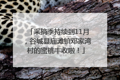 采摘季持续到11月，谷城县庙滩镇邓家湾村的蜜桃丰收啦！