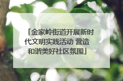 金家岭街道开展新时代文明实践活动 营造和谐美好社区氛围