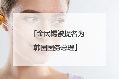金民锡被提名为韩国国务总理