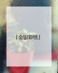 金银彩绣