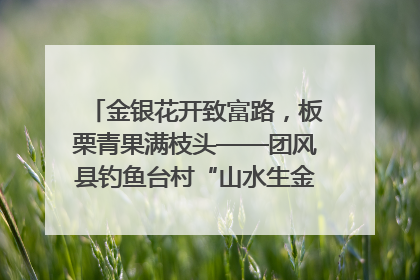 金银花开致富路，板栗青果满枝头——团风县钓鱼台村“山水生金”谱写共富新篇章