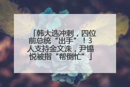韩大选冲刺，四位前总统“出手”！3人支持金文洙，尹锡悦被指“帮倒忙”