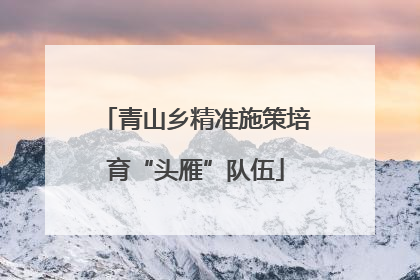 青山乡精准施策培育“头雁”队伍